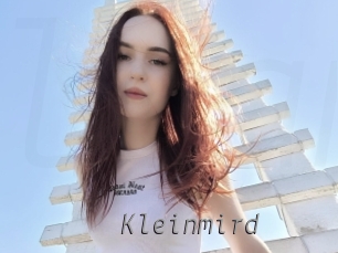 Kleinmird