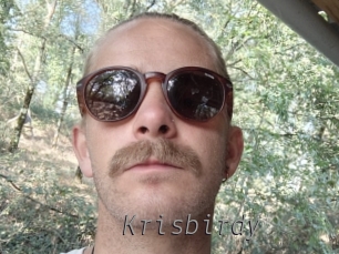 Krisbirdy