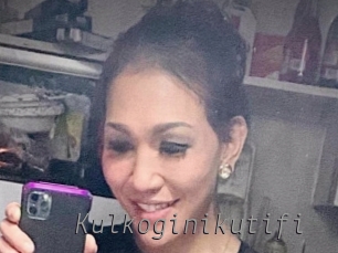 Kulkoginikutifi