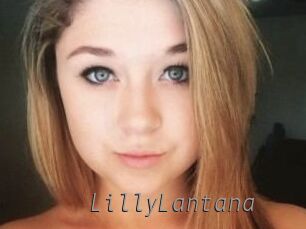 LillyLantana