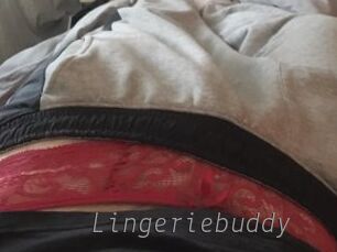 Lingeriebuddy