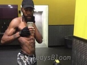 Lledys_Bloom Livestrip Cams