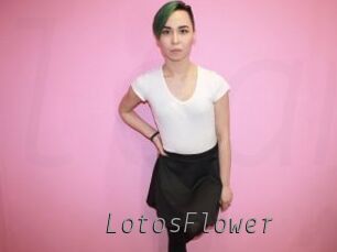 LotosFlower Livestrip Cams