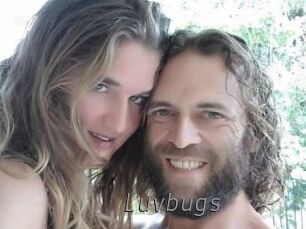 Luvbugs