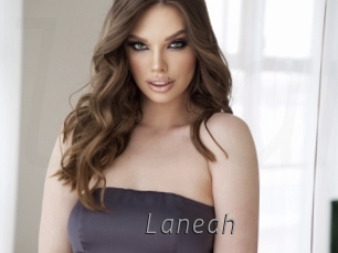 laneah Livestrip Cams