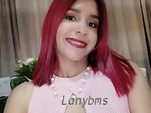 lanybms Livestrip Cams