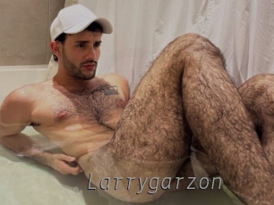 larrygarzon Livestrip Cams