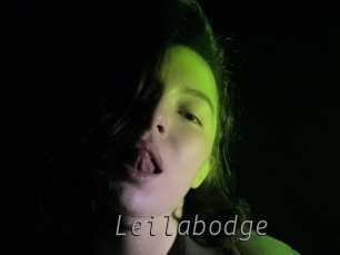 Leilabodge