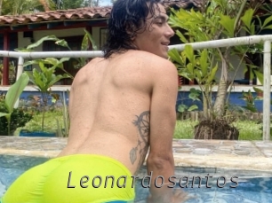 Leonardosantos