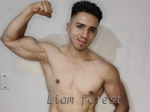 Liam_forest