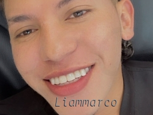 liammarco Livestrip Cams