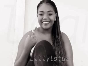 Lillylotus