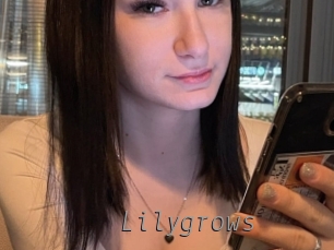 lilygrows Livestrip Cams