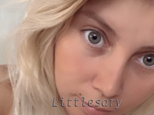 littlesary Livestrip Cams