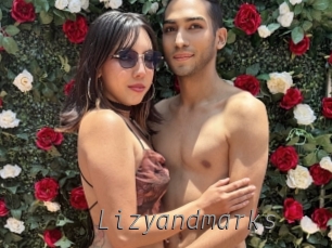 Lizyandmarks