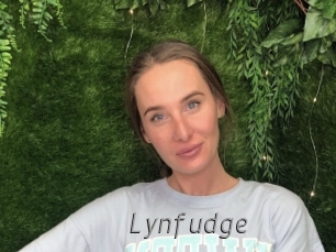 Lynfudge