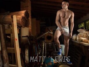 MATT_LEWIS
