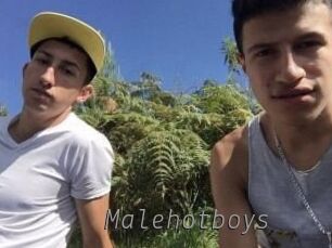 Malehotboys