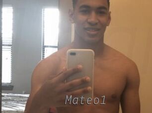 Mateo1