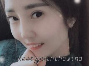 Meetyouinthewind