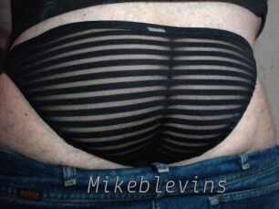 Mikeblevins