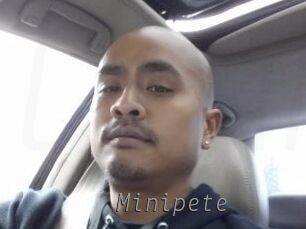 Minipete