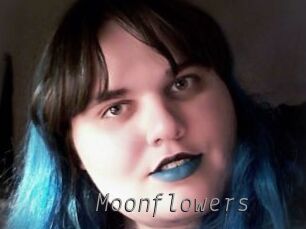 Moonflowers