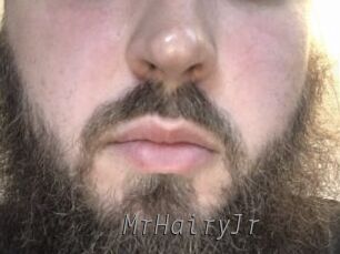 MrHairyJr