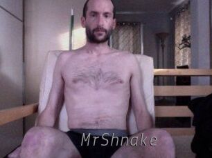 MrShnake