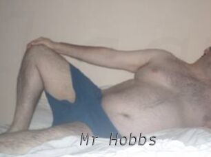 Mr_Hobbs