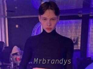 Mrbrandys Livestrip Cams