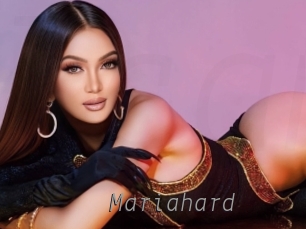 mariahard Livestrip Cams