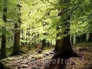 Martiaitor