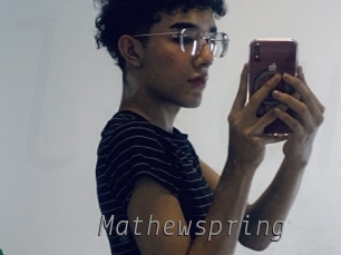 mathewspring Livestrip Cams