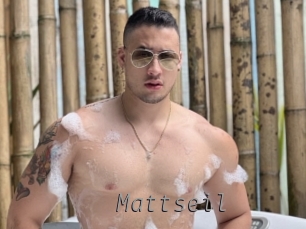 Mattseil