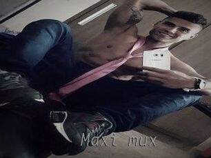 Maxi_mux