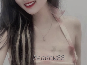 meadow88 Livestrip Cams