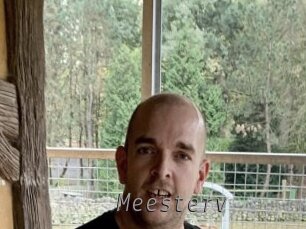 Meesterv