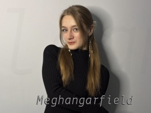 Meghangarfield