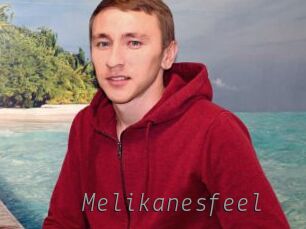 Melikanesfeel