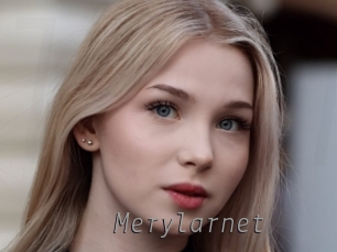 Merylarnet