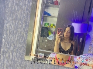 Michellkey