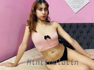 mintinalatin Livestrip Cams
