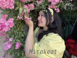 mirakeat Livestrip Cams