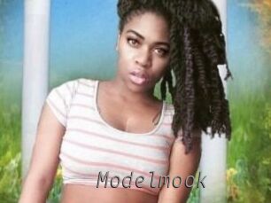 Modelmook