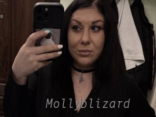 Mollyblizard