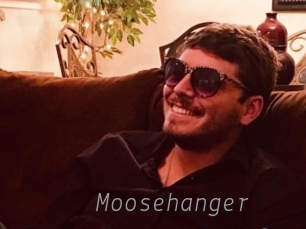 moosehanger Livestrip Cams