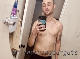 Mr_rearrangeurguts