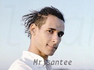 mrjsantee Livestrip Cams