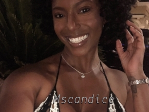 mscandice Livestrip Cams